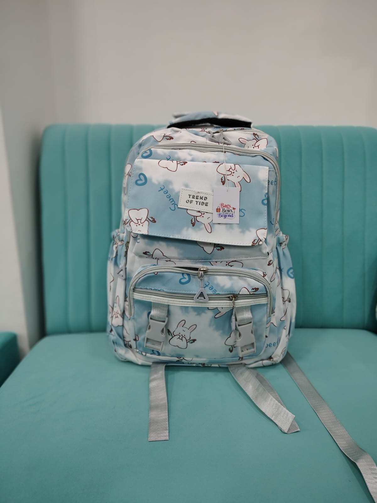 Cute And Trendy Teddy Print School bags