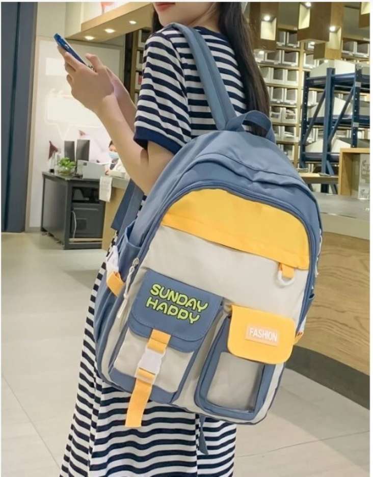 Korean 22l backpack- blue