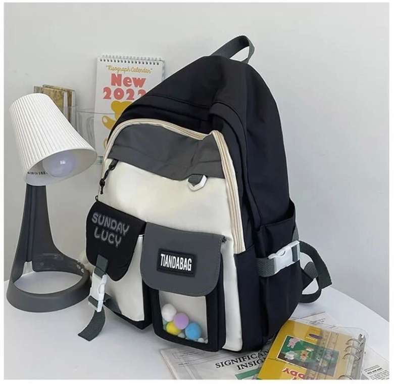 Korean 22l backpack- black
